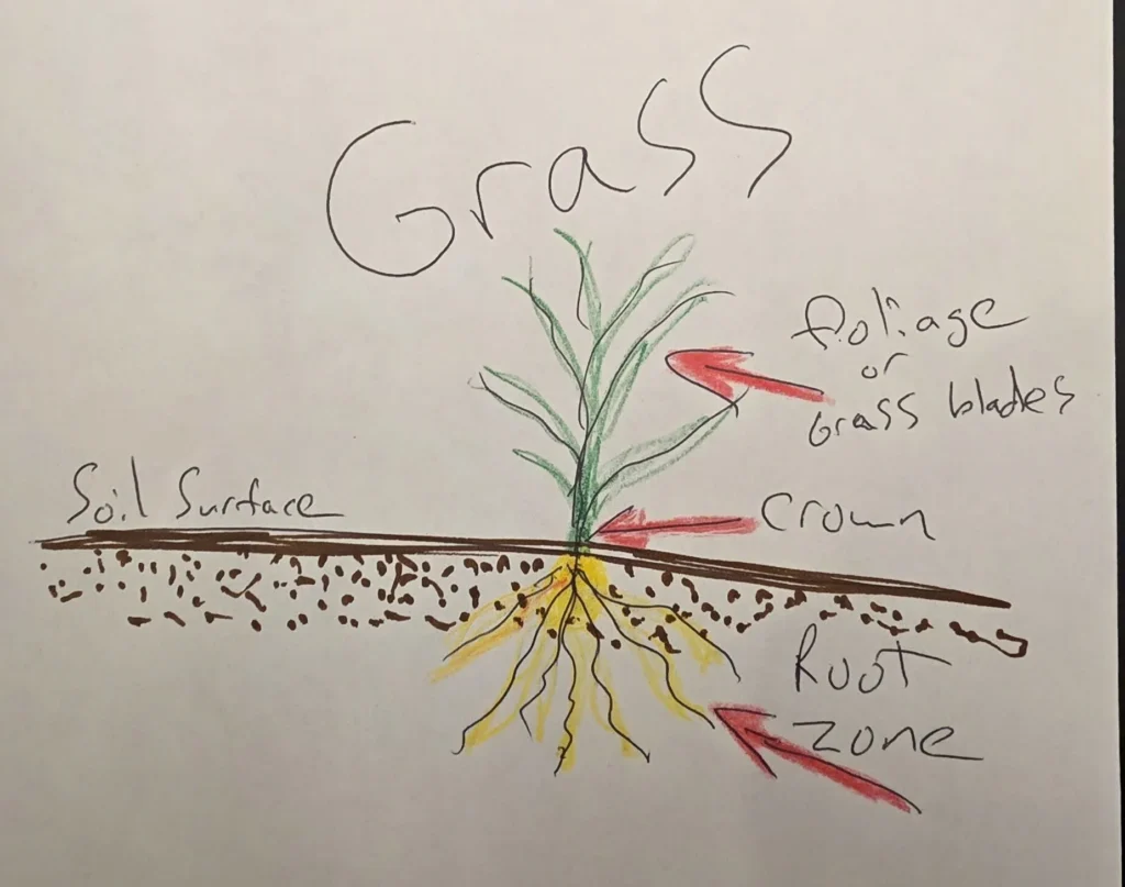 Why Fall Is The Best Season For Lawn Maintenance