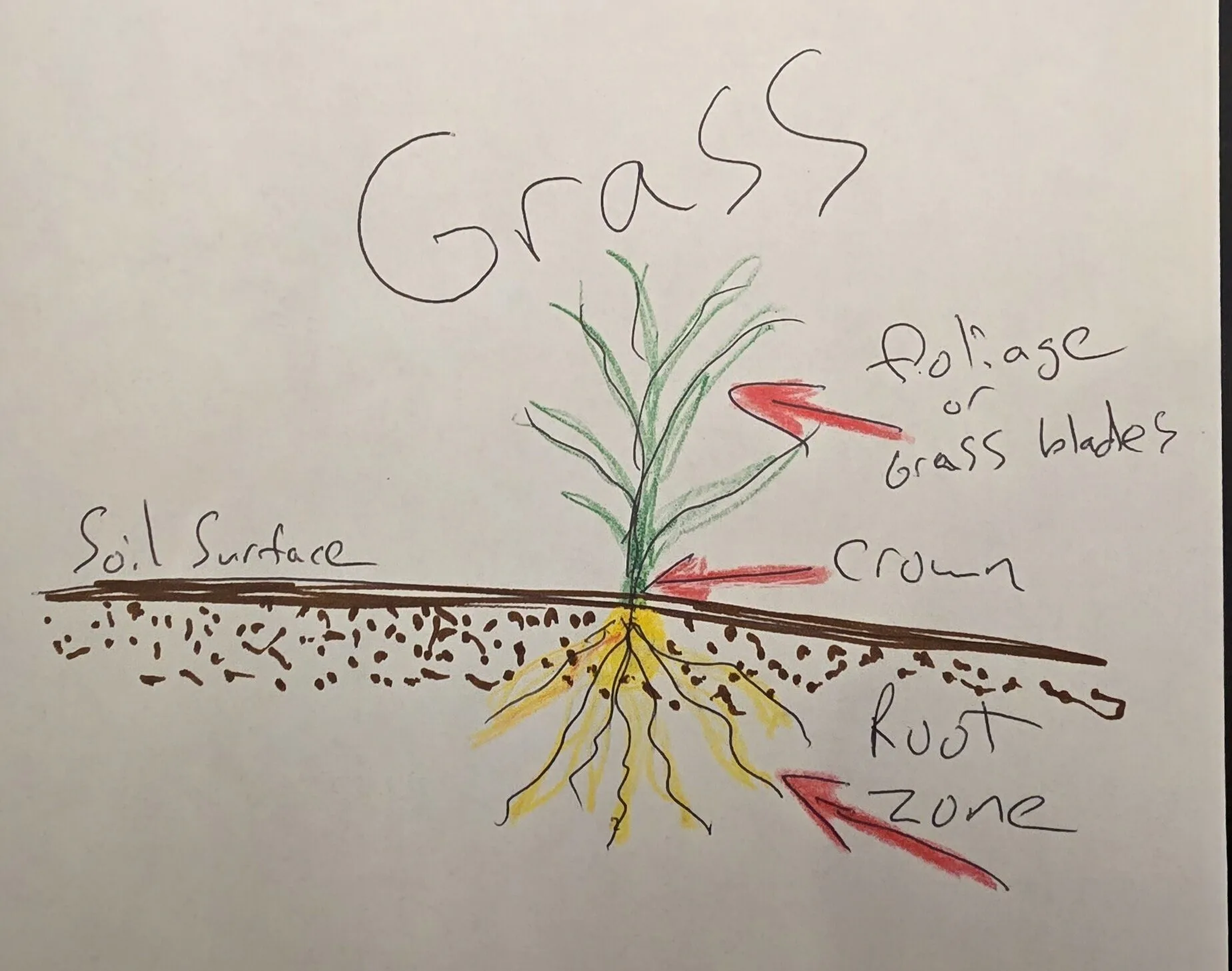 Why Fall Is The Best Season For Lawn Maintenance